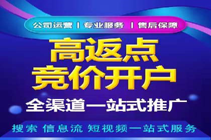 成功案例分享：SEM推广策略的制定与执行
